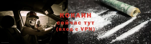 винт Абаза