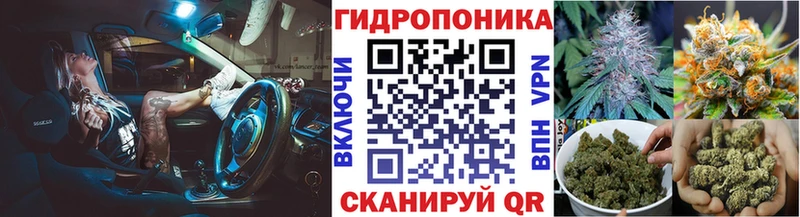 Конопля гибрид  Кораблино 